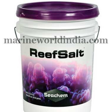 Marine-Salt-in-Kolkata-World