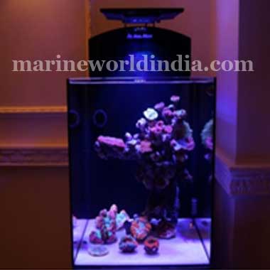 Marine-World-Nano-Desctop-Aquariums